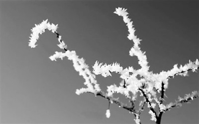 20151123_002
