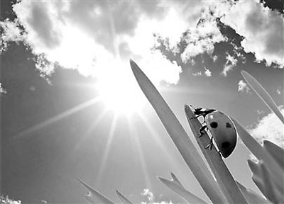 20150723_007