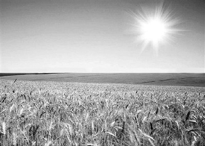 20150604_009