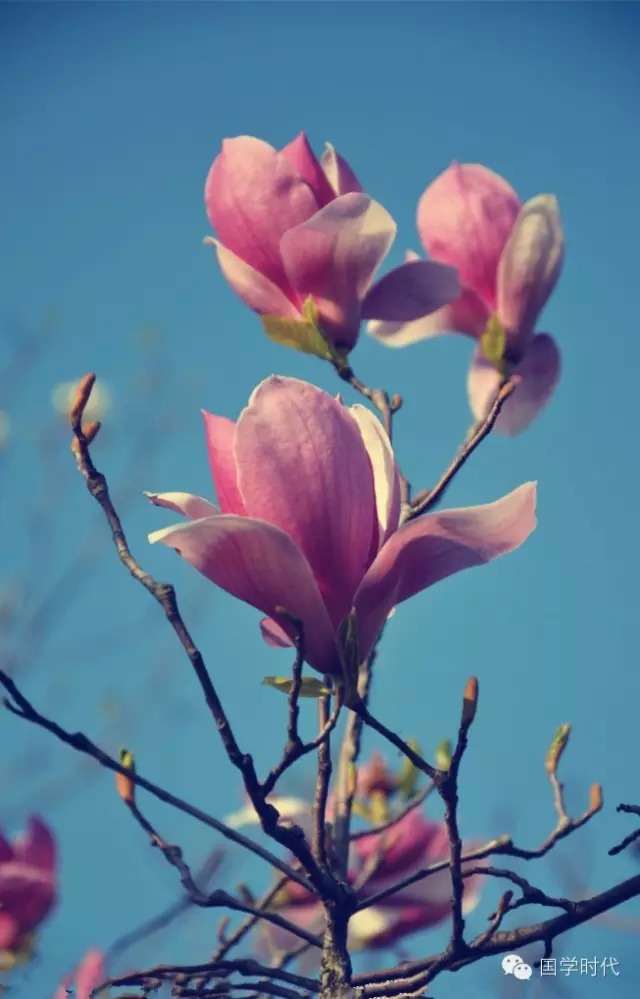 20150222_022