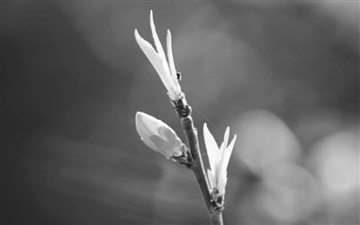 20150320_004