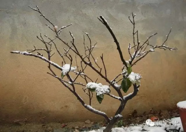 20150221_063