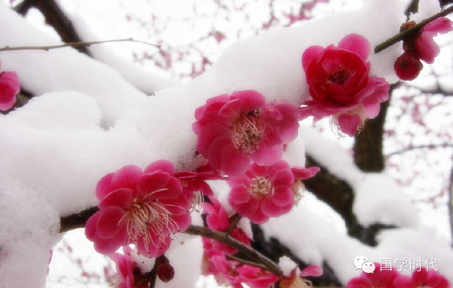 20150208_002