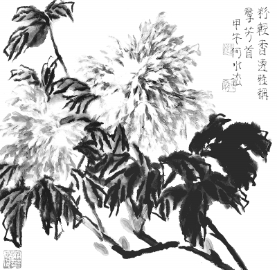 20151224_009