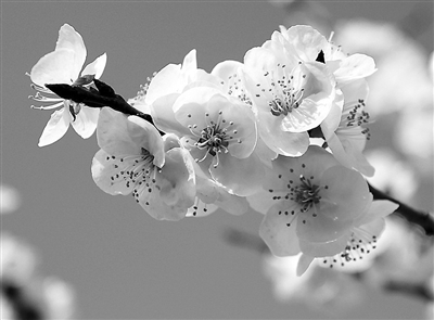 20150402_021