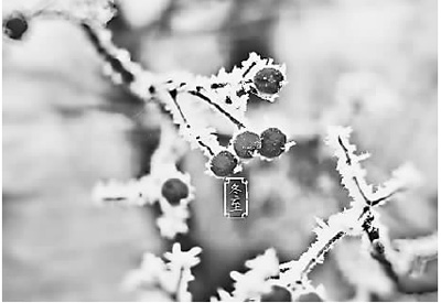 20151222_004